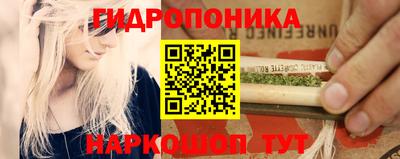 ешки Новозыбков