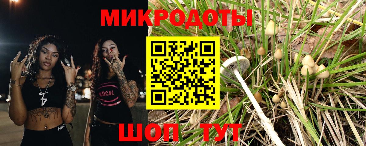Пенза  Галлюциногенные грибы прущие грибы  Вход с VPN  Псилоцибиновые грибы мухоморы 