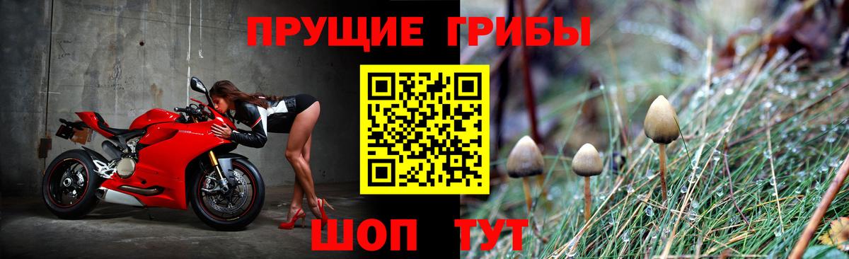 Псилоцибиновые грибы мицелий Пенза